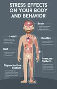 Image result for Stress Effects On Human Body Chart