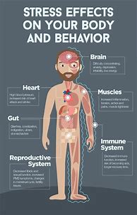 Image result for Chronic Stress Infographic