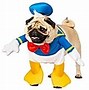 Image result for Pet Costumes