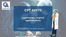 Image result for Lap Appy CPT Code