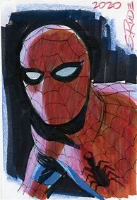Image result for Steve Rude Spider-Man