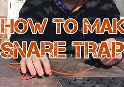 Image result for Building Snare Traps