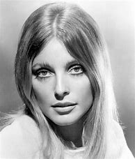 Image result for Images of Sharon Tate