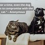 Image result for Cat and Dog Love Quotes