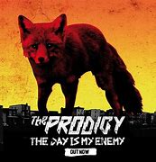 Image result for The Prodigy Albums