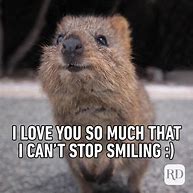 Image result for Funny Pictures About Love