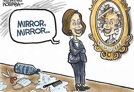 Image result for Pelosi Salon Cartoon