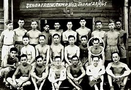 Image result for Prisoners of War Japan
