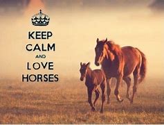 Image result for Keep Calm Horse Quotes