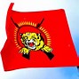 Image result for LTTE Prabhakaran