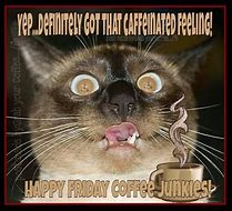 Image result for Friday Funny Coffee Quotes
