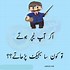 Image result for Funny Comments in Urdu