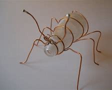 Image result for Copper Wire Bugs
