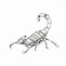 Image result for Deathstalker Scorpion Drawing