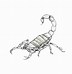 Image result for Scorpion Outline Drawing