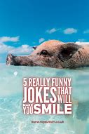 Image result for Cute and Funny Jokes