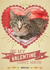 Image result for Funny Cat Kitten Valentine