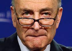 Image result for Chuck Schumer Glasses