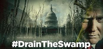 Image result for Washington DC swamp