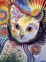 Image result for Abstract Cat Drawings