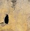 Image result for Is This the Hole Meme