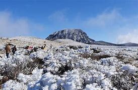 Image result for Jeju Island in Winter