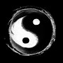 Image result for Awesome Yin Yang