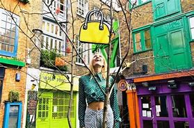 Image result for Crazy Bags