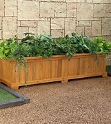 Image result for Rectangle Planter Box Indoor