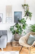Image result for Nature Home Decor