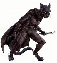 Image result for Dungeons and Dragons Catfolk Assassin