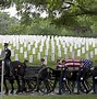 Image result for Soldiers Missing in Action Vietnam