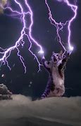 Image result for Cat with Lightning Bolt