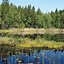 Image result for Finland Country Map