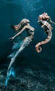 Image result for Prodigy Mermaid Animal