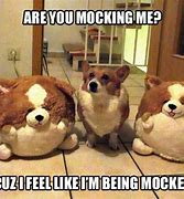 Image result for Funny Dogs LOL