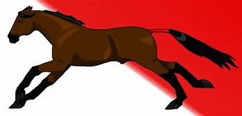 Image result for Real Seabiscuit