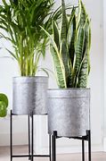 Image result for Large Indoor Plant Pots