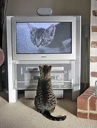 Image result for TV Screen Sizes Chart