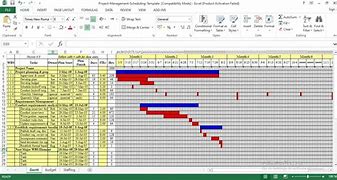 Image result for Project Management Schedule of Cosmo Inc