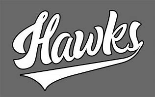 Image result for Hawks Hoodie