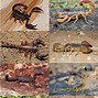 Image result for Scorpion vs Snake