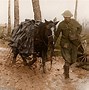 Image result for Battle of Somme Trenches