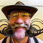 Image result for Weird Beard Contest