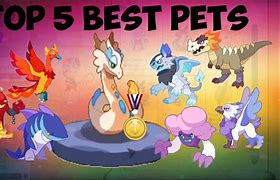 Image result for Prodigy Math Game Pet Cat