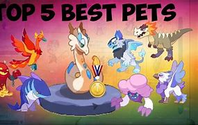 Image result for Cutest Prodigy in Animals