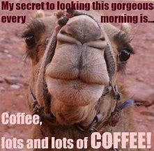 Image result for Wednesday Coffee Funny
