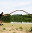 Image result for Battle Ropes around a Tree