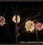 Image result for Outdoor Christmas Tree Light Balls