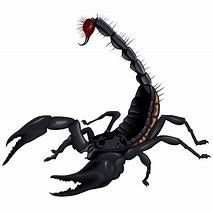 Image result for Scorpion Cartoon Clip Art